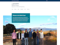 mefford lab website thumbnail